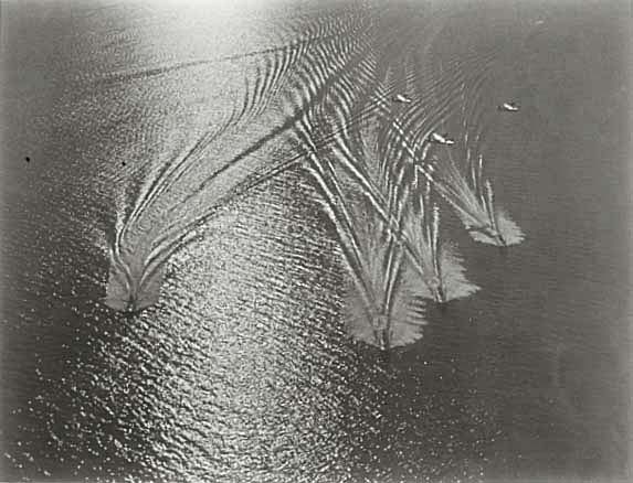 Khalip (Haleb Yakov) - Quad #64, Baltic Sea Khalip (Haleb Yakov) - Quad #64, Baltic Sea