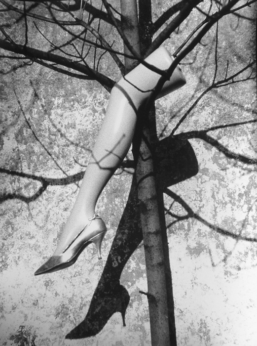 Marcel Marien - Le Fruit Defendu (The Forbidden Fruit)