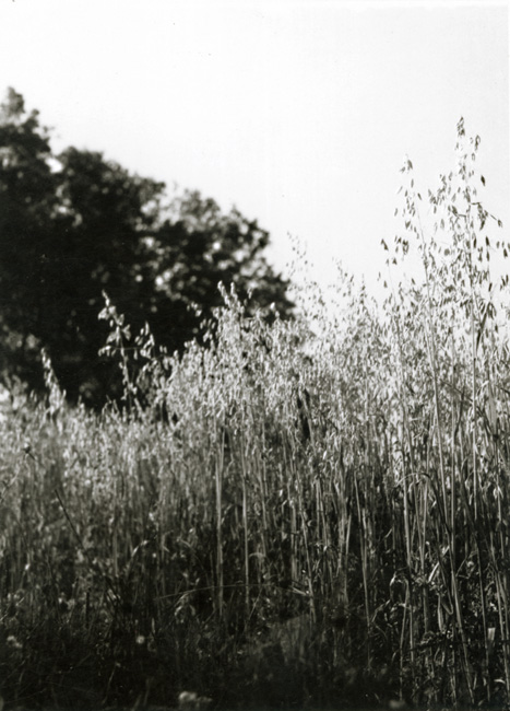Jacques-Henri Lartigue - Passage au Château des Essarts, Veyvialle, France