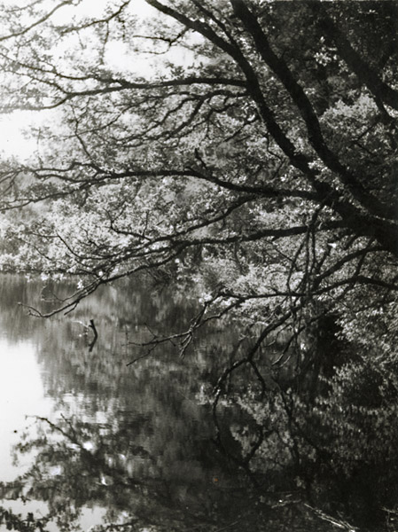 Jacques-Henri Lartigue - Passage au Château des Essarts, Veyvialle, France