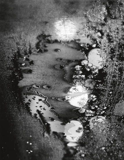 Minor White - Beginnings, Frosted Window, Rochester, NY Minor White - Beginnings, Frosted Window, Rochester, NY