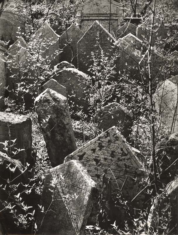 Jindrich Brok - Jewish Cemetery Tombstones, Prague Jindrich Brok - Jewish Cemetery Tombstones, Prague