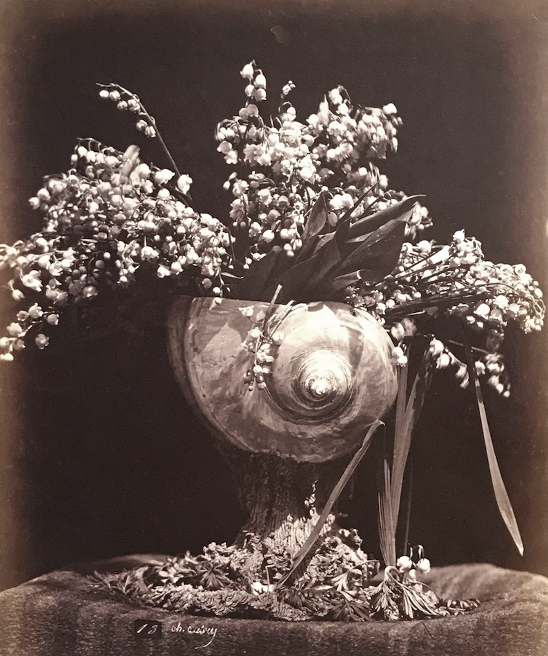 Charles Hippolyte Aubry - Lilies of the Valley in a Nautilus Shell (Muguet dans une Conque)