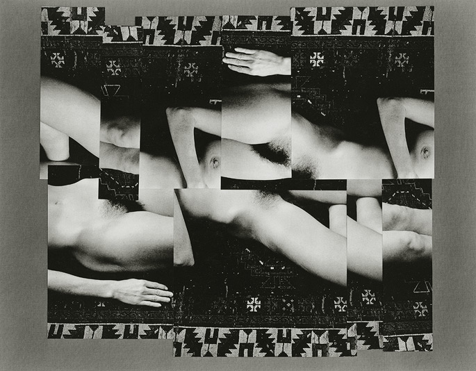 Paula Chamlee - Nude Collage #3
