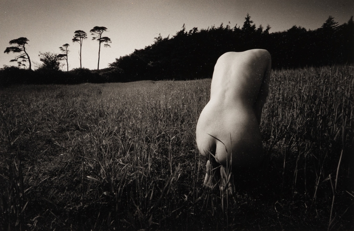 John - Untitled (Nude in Field) John - Untitled (Nude in Field)