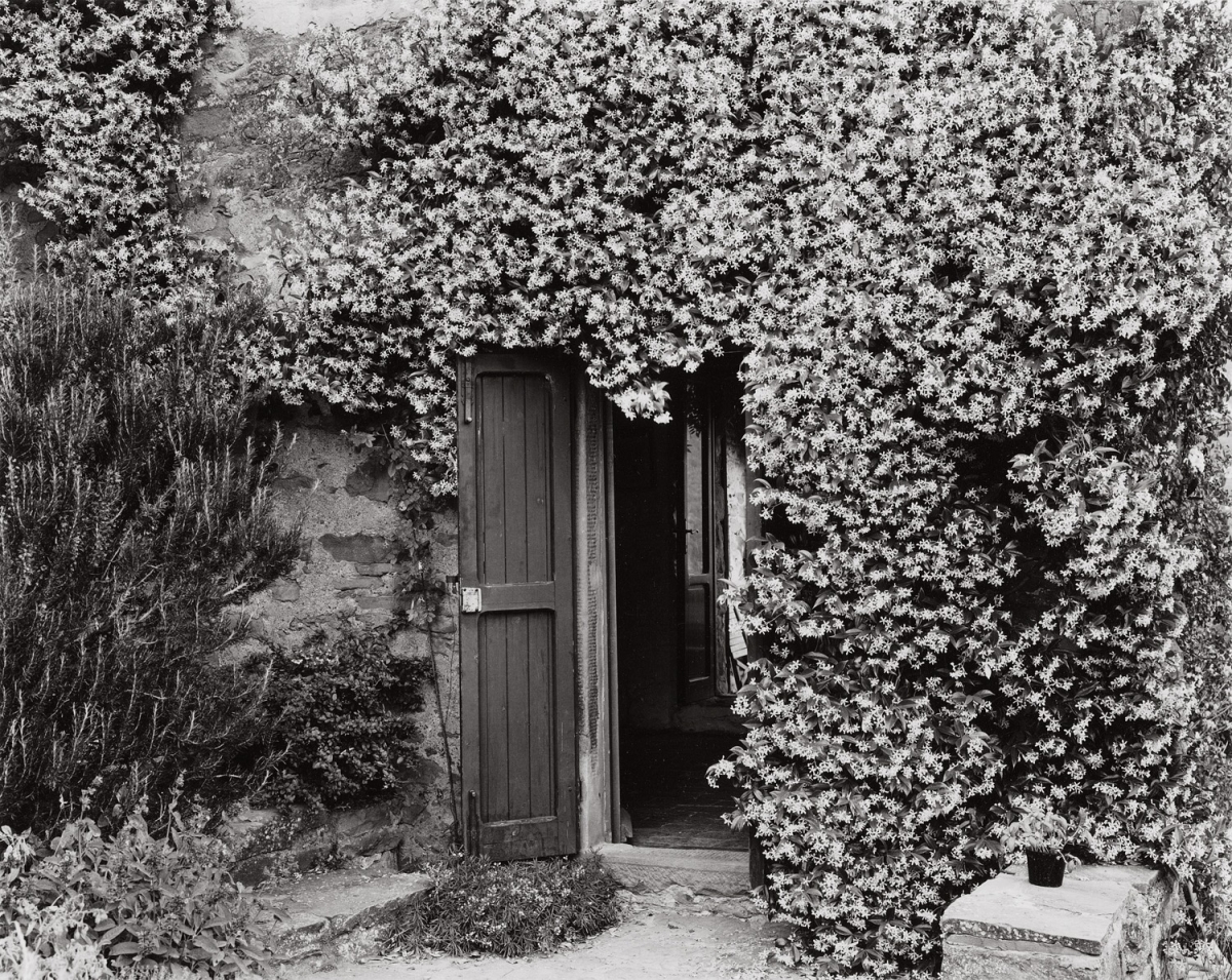 Paula Chamlee - Cortona, Tuscany, 1999 Paula Chamlee - Cortona, Tuscany, 1999