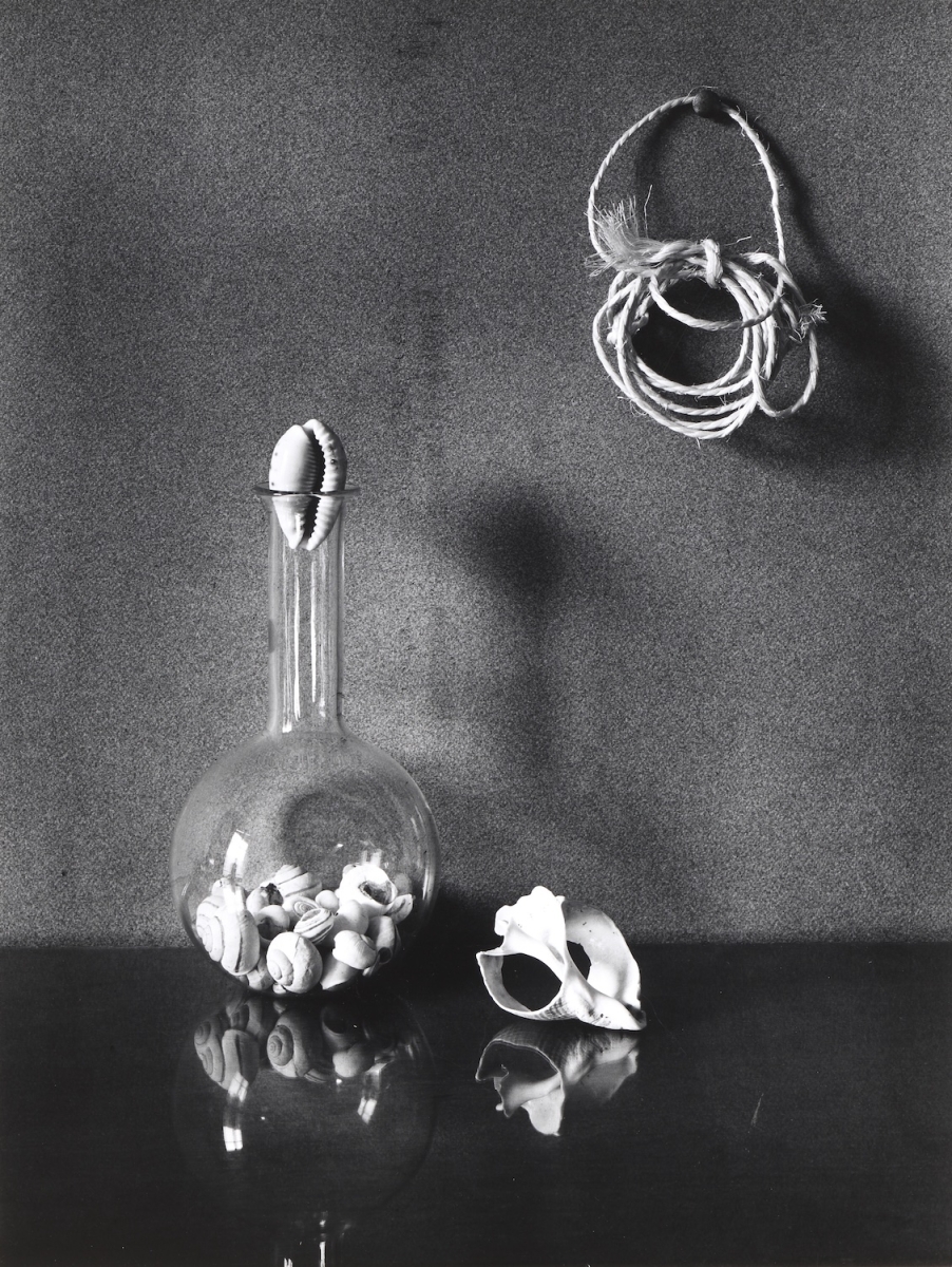 Jean-Pierre Sudre - Coquillages à la Ficelle