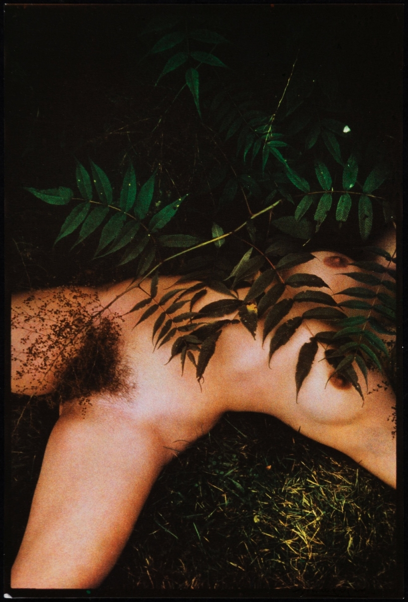 Lucien Clergue - Nu des Bois, Rockport, ME Lucien Clergue - Nu des Bois, Rockport, ME
