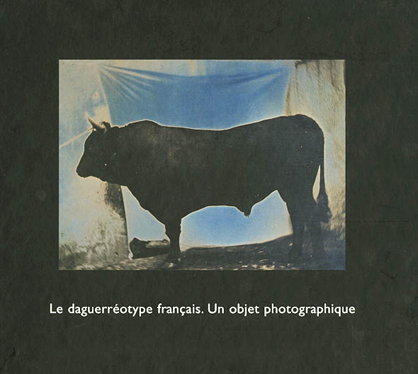 Quentin Bajac, Dominique Planchon-de Font-Reaulx, et. al. - Le Daguerreotype Francaise: Un Objet Photographique
