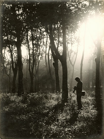 Tram-Dat-Chi - Self Portrait in Forest