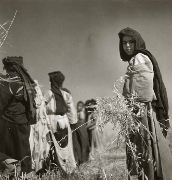 Denise Bellon - Berbers Harvesting,  Morocco