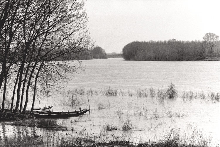 Gianni Berengo Gardin - Boats in Italian Landscape