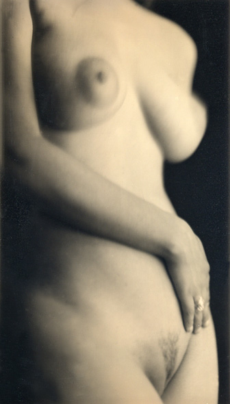 Charlie Schreiner - Torso (Female Nude)