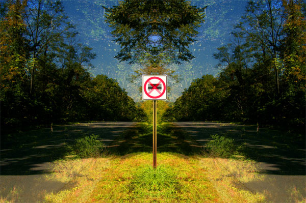 Charlie Schreiner - No Truck
